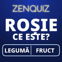 Trivia antistres – Zen Quiz