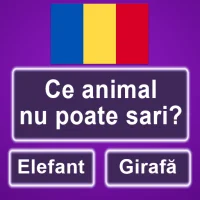 Întrebări şi răspunsuri -Test